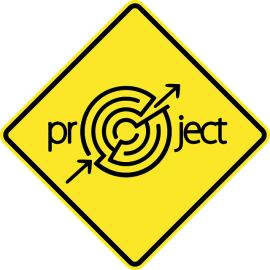 IT-Projektmanagement IT-Projektmanagement