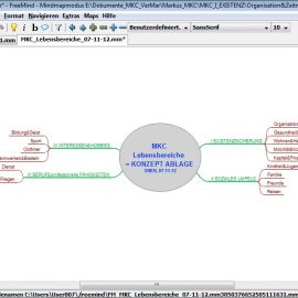 Meine Lebensbereiche – in digitalisierter Mindmap